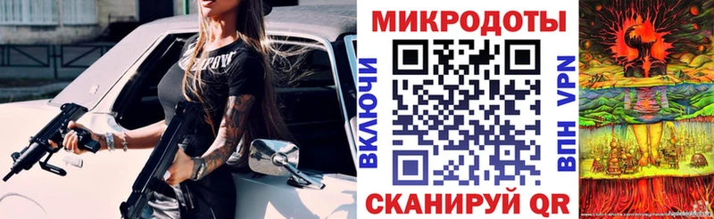 сколько стоит  Дно  Псилоцибиновые грибы Cubensis 